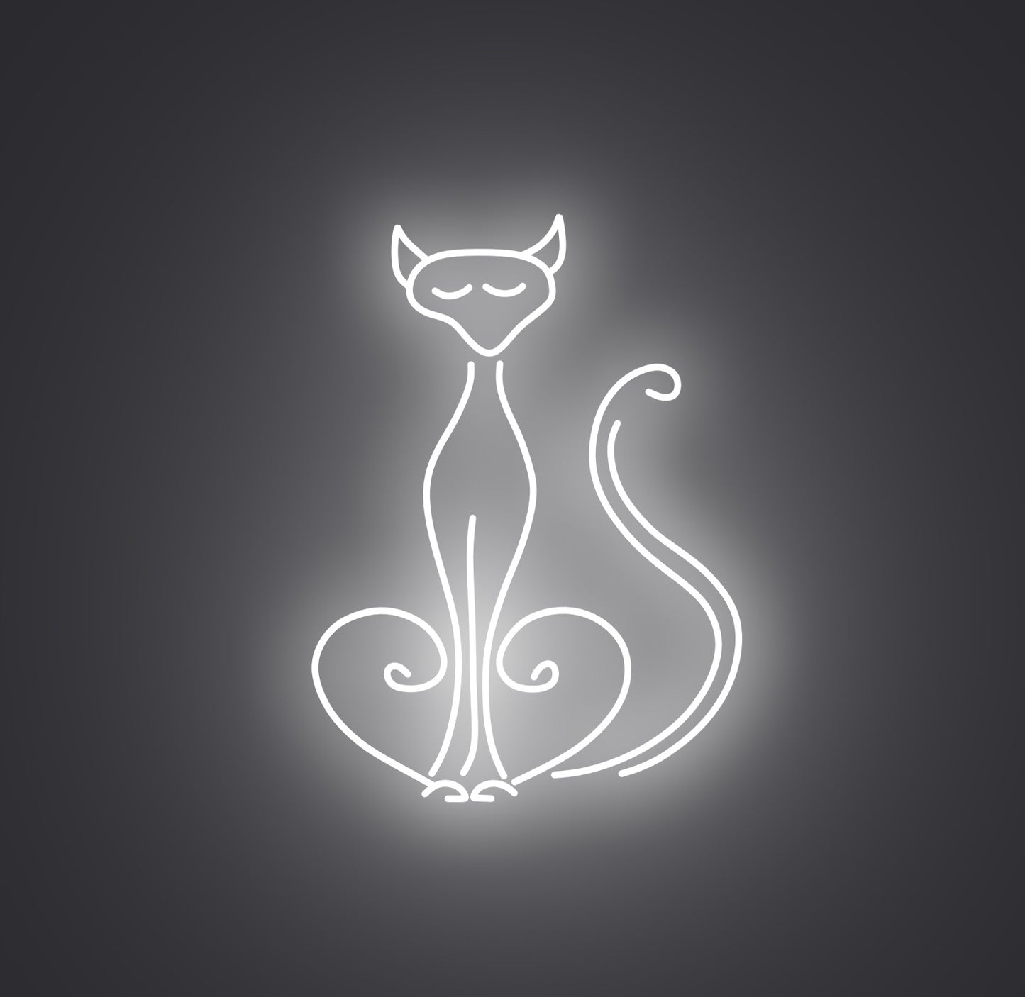 Pompous Cat