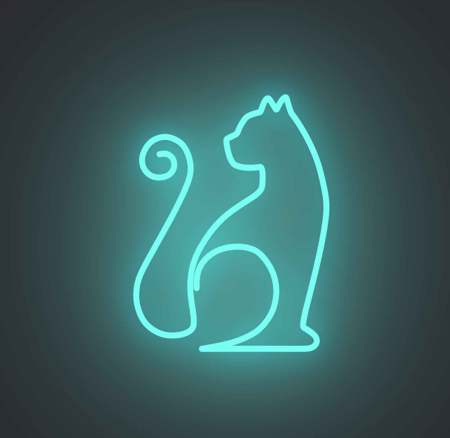 Sitting Cat 01