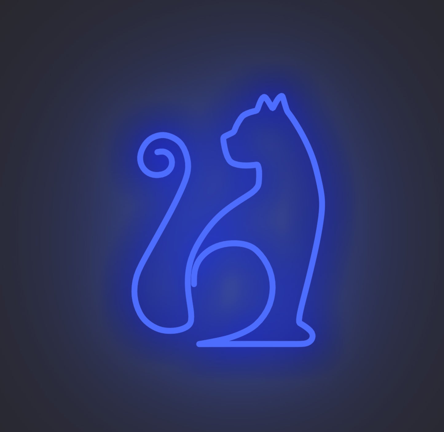 Sitting Cat 01
