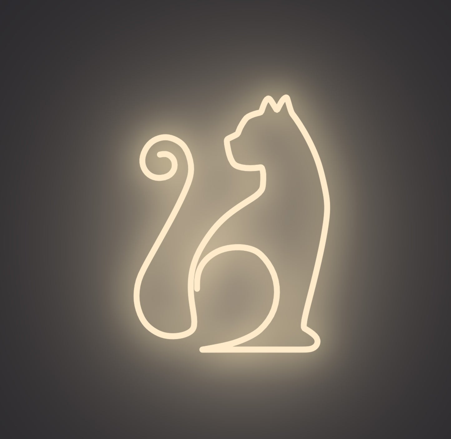 Sitting Cat 01