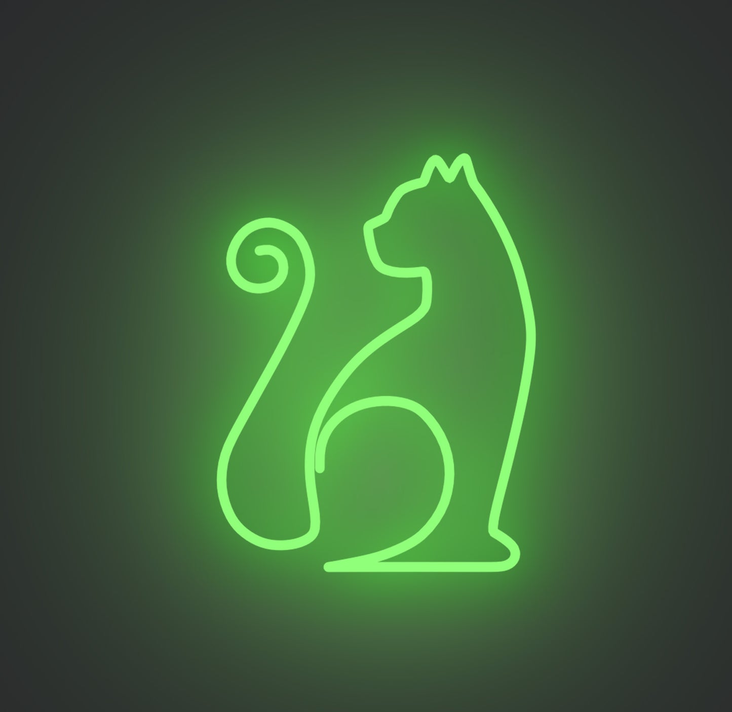 Sitting Cat 01