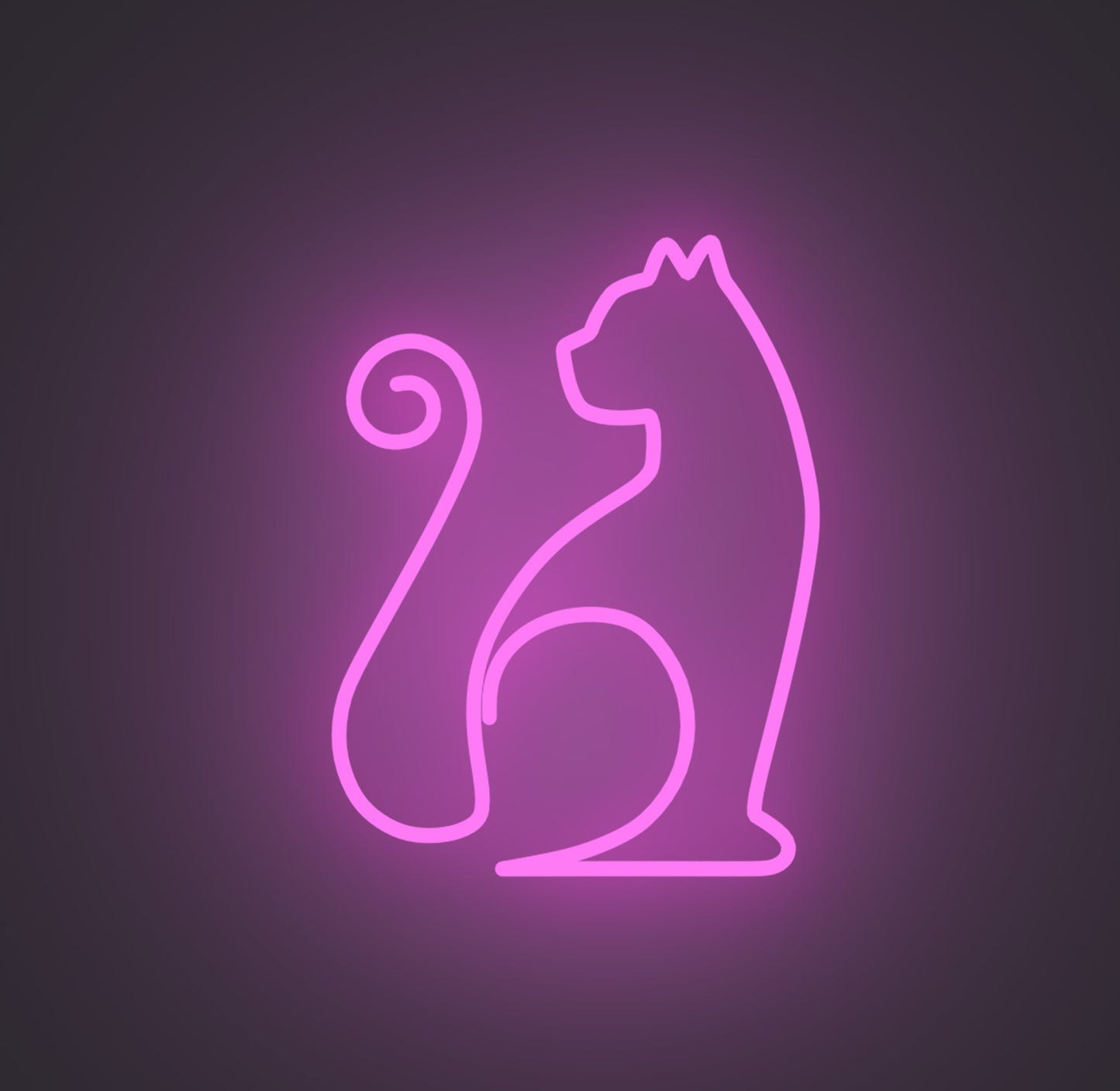 Sitting Cat 01