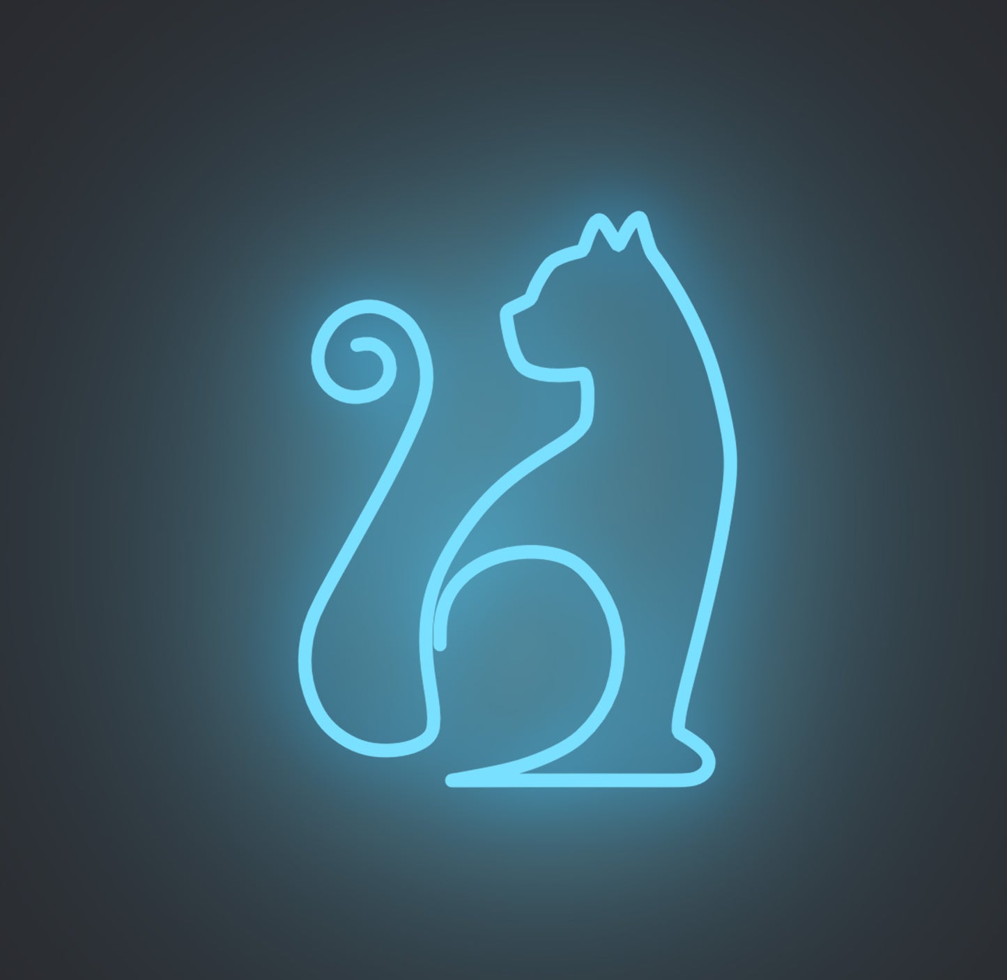 Sitting Cat 01