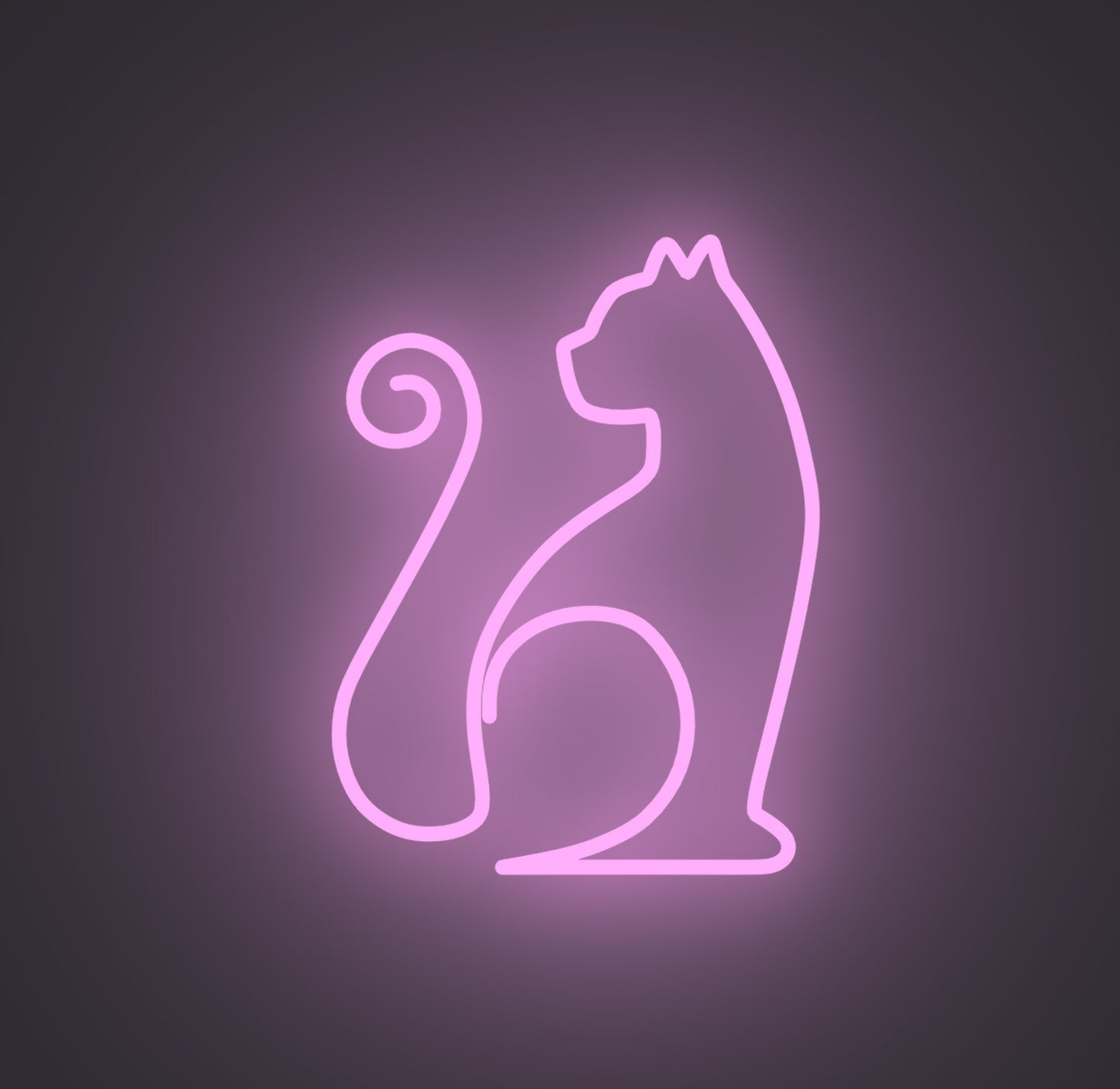 Sitting Cat 01