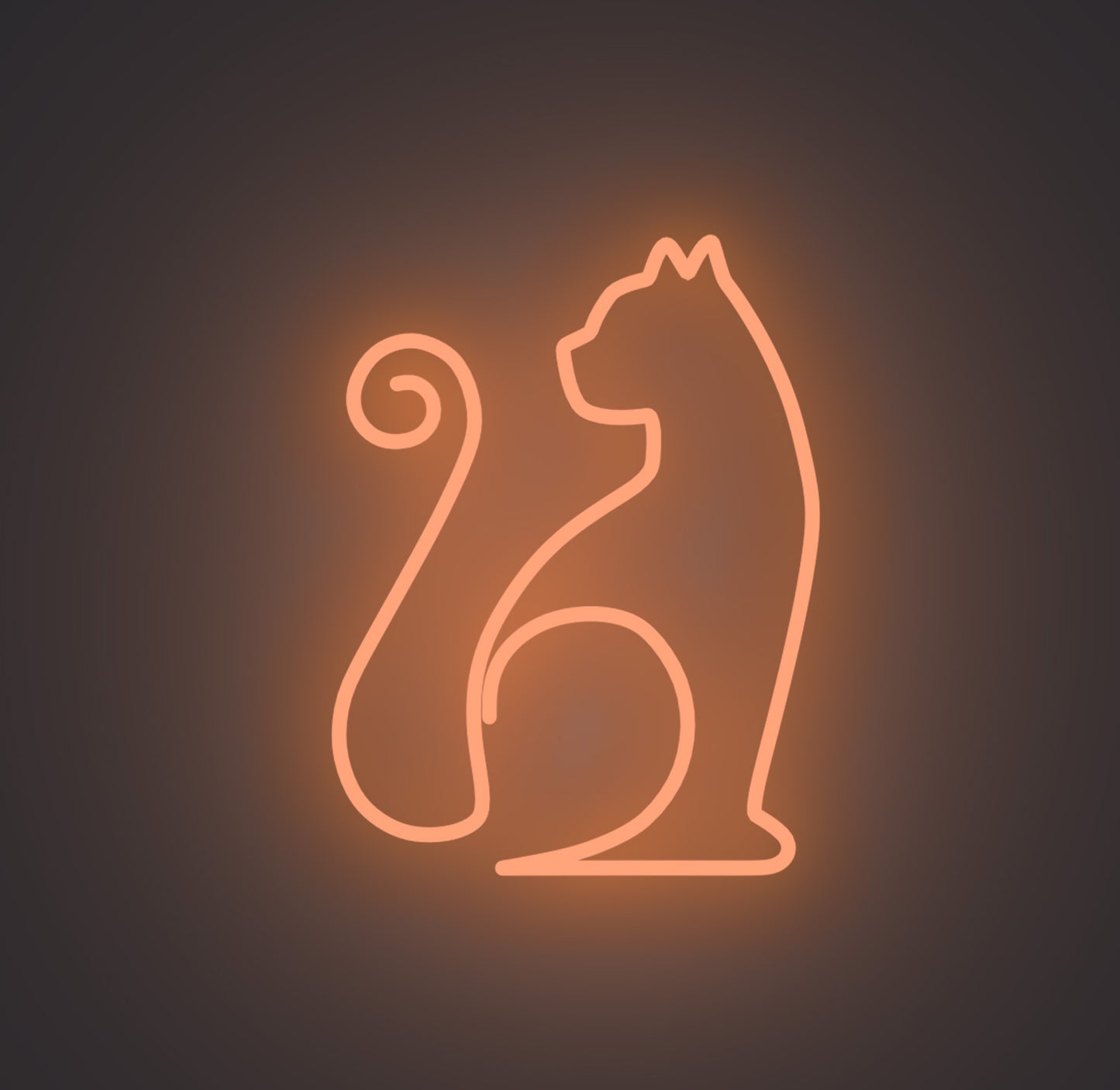 Sitting Cat 01