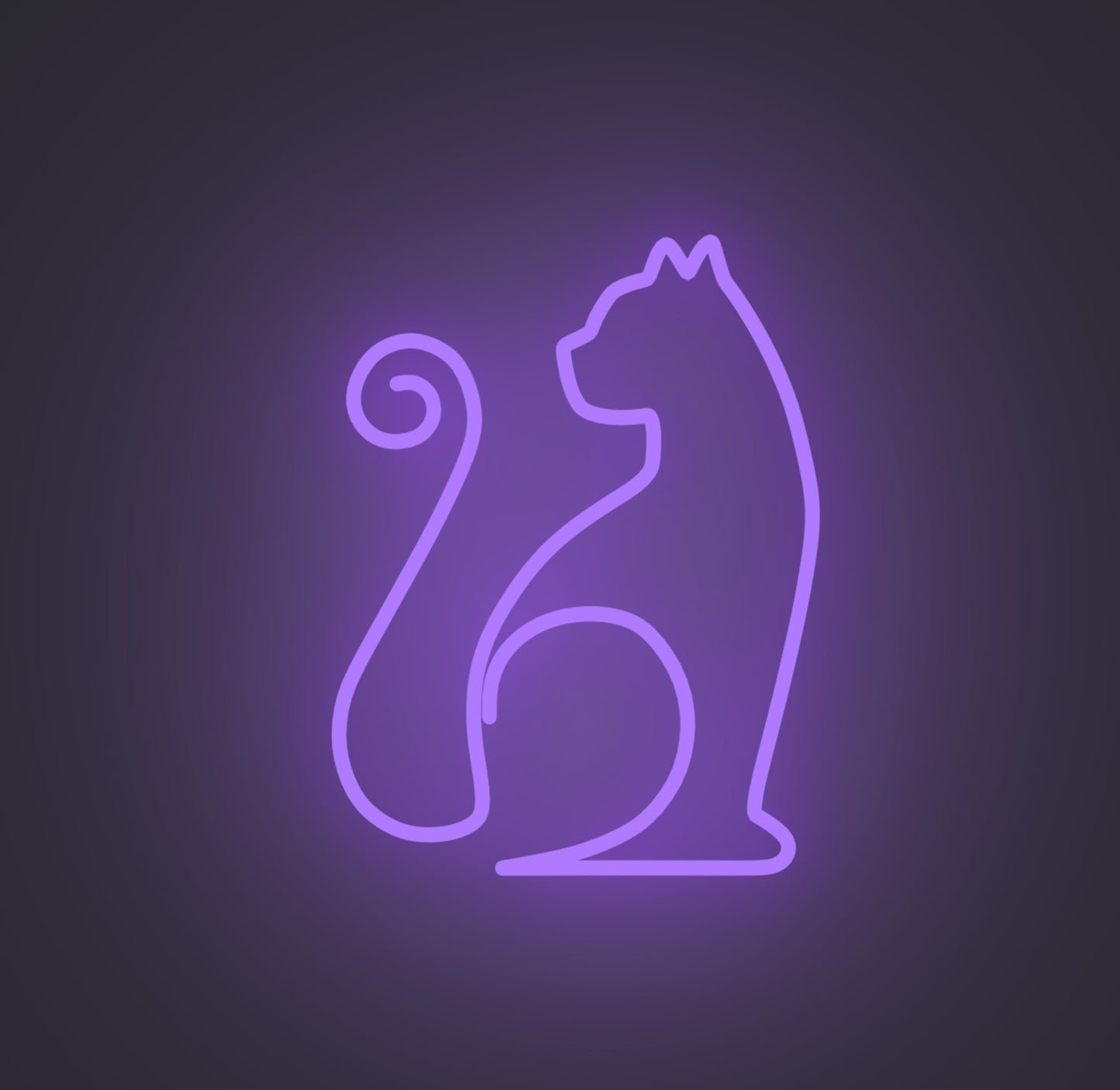 Sitting Cat 01