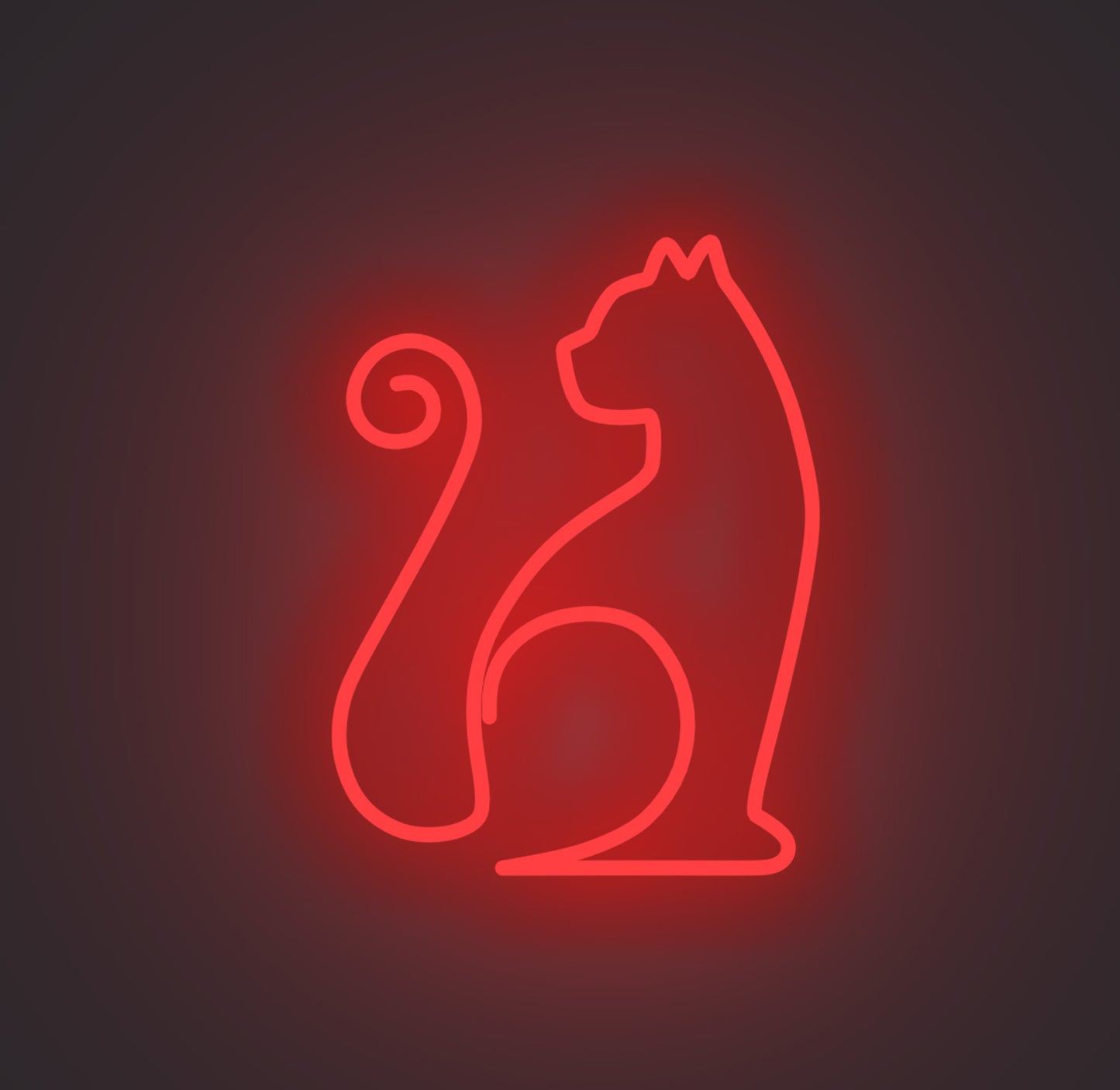 Sitting Cat 01