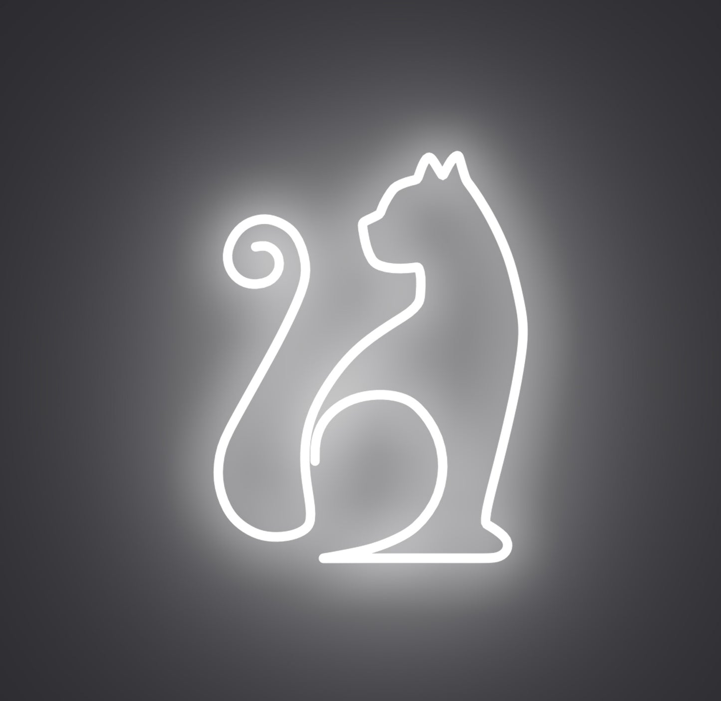 Sitting Cat 01