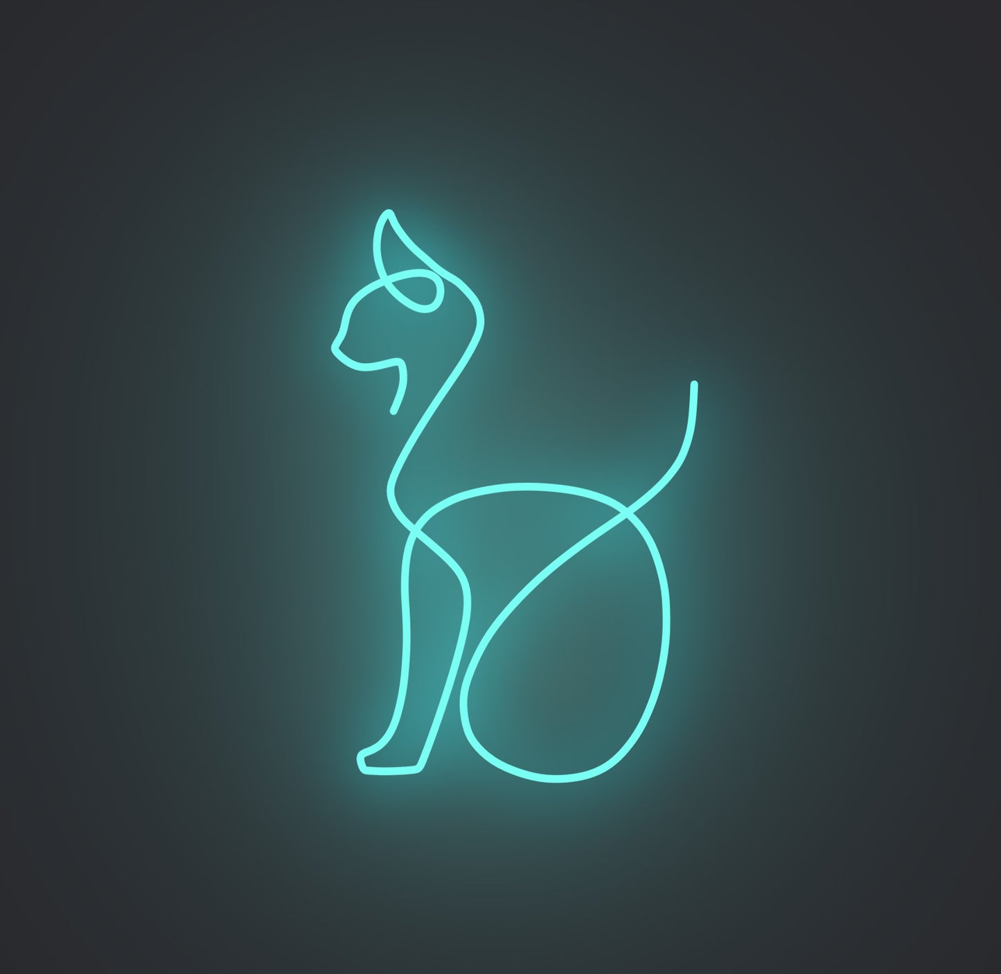 Sitting Cat 02