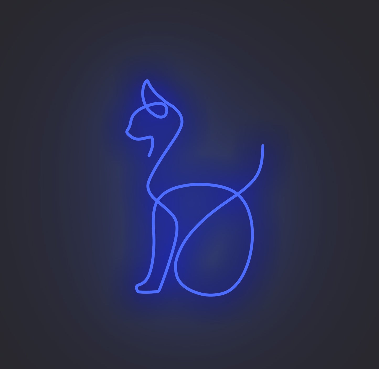 Sitting Cat 02