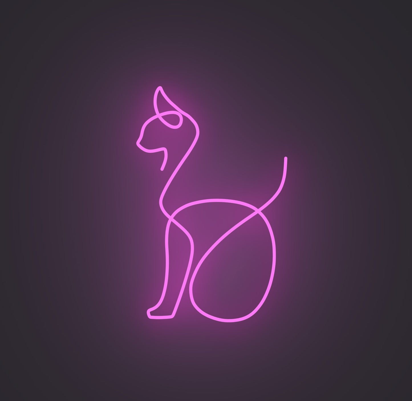 Sitting Cat 02