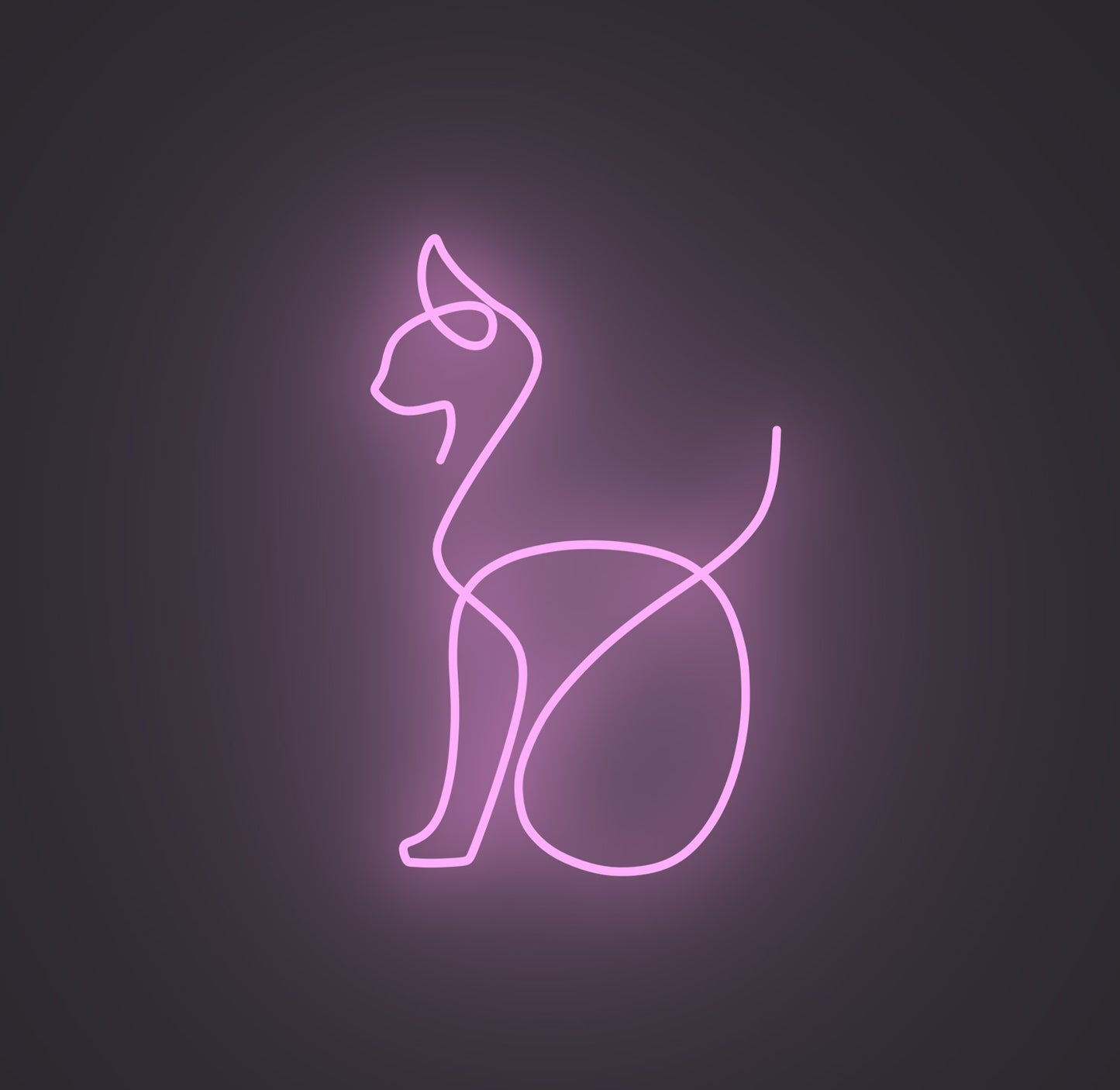 Sitting Cat 02