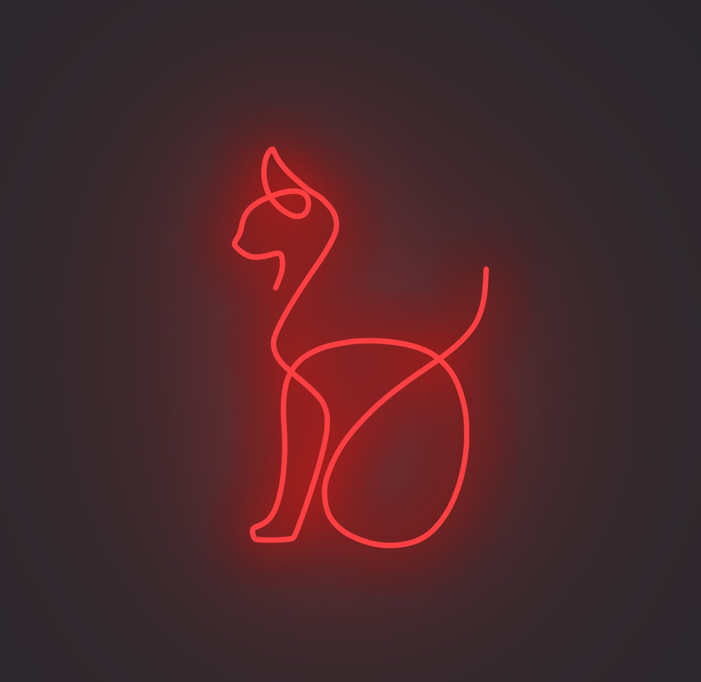 Sitting Cat 02