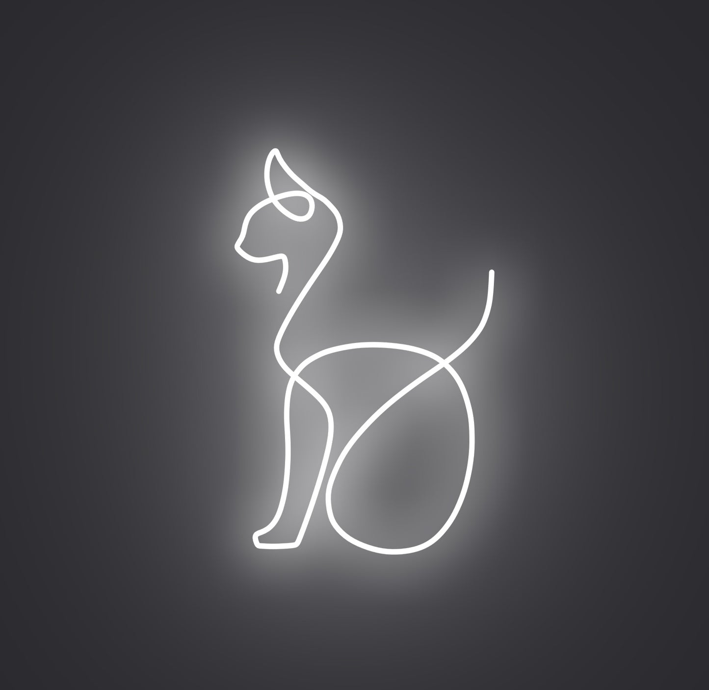 Sitting Cat 02