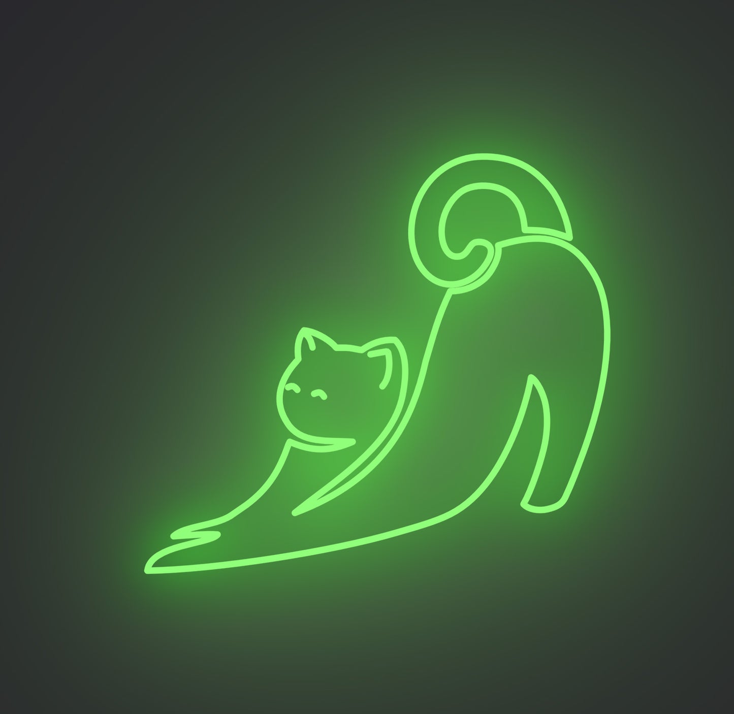 Stretching Cat