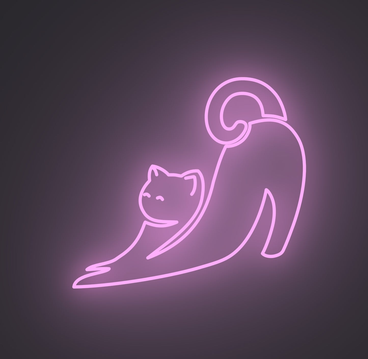 Stretching Cat