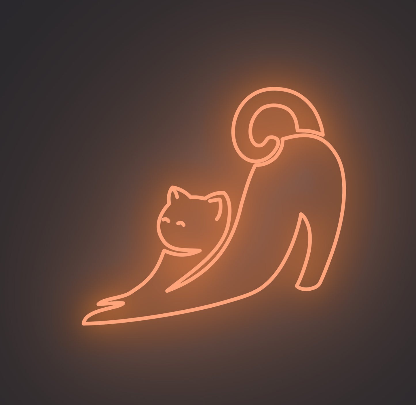 Stretching Cat
