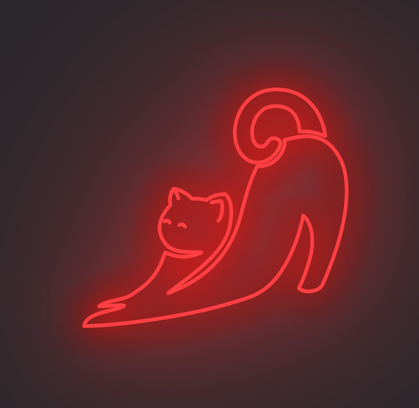 Stretching Cat