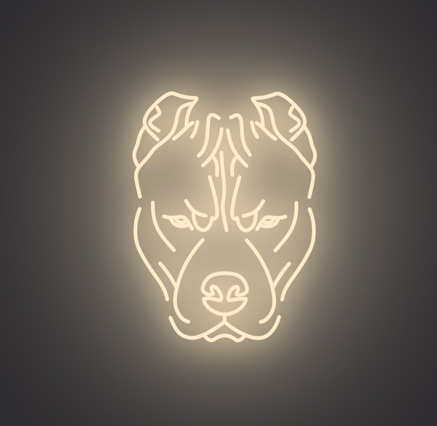 Pitbull Dog