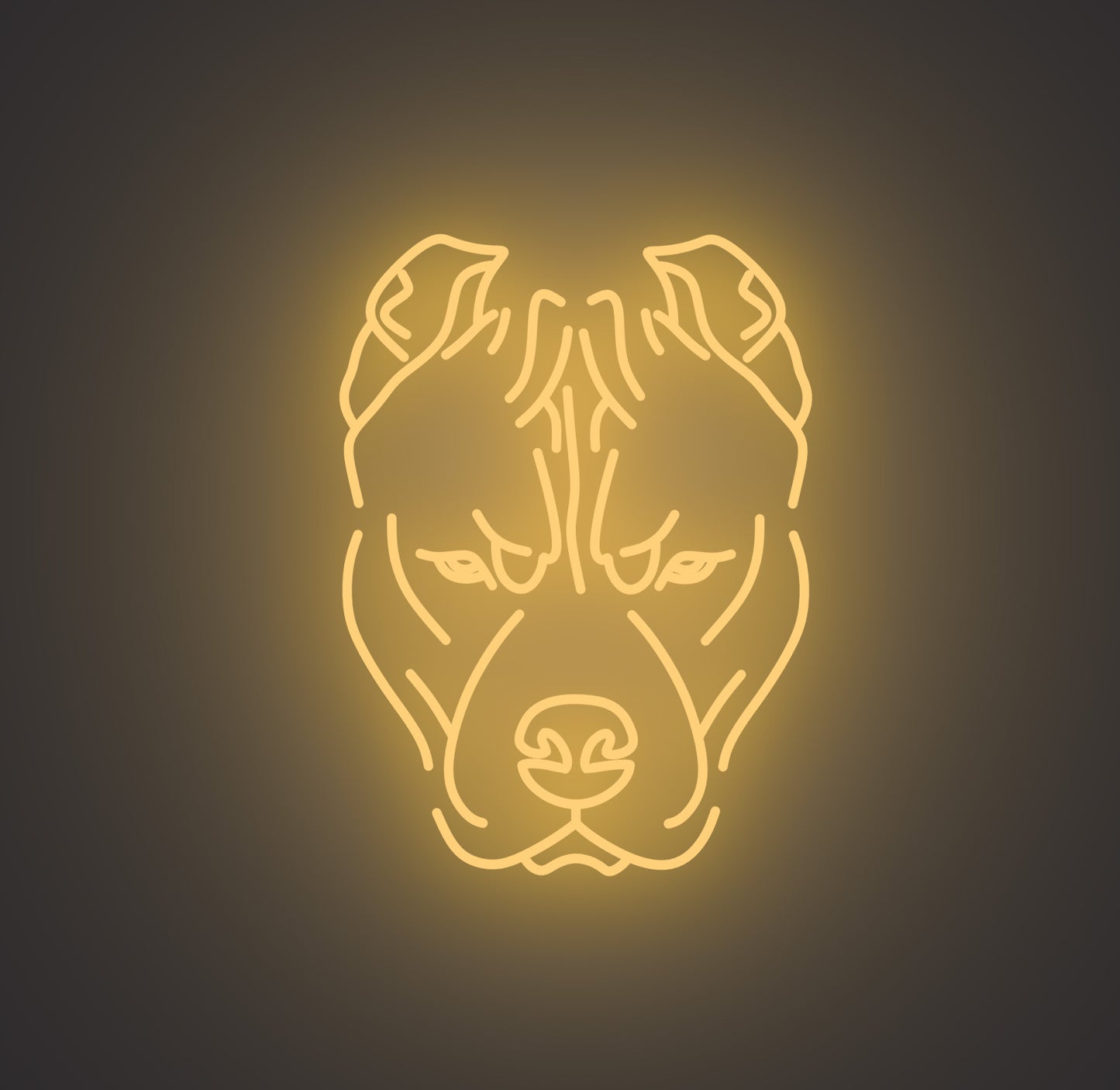 Pitbull Dog