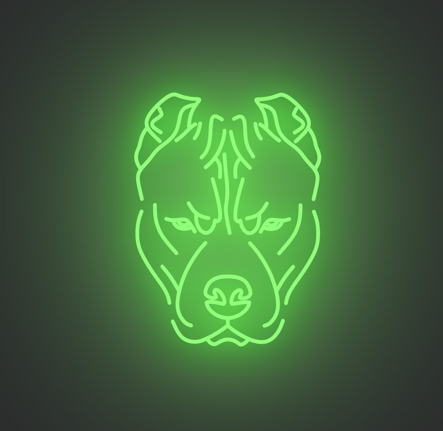 Pitbull Dog