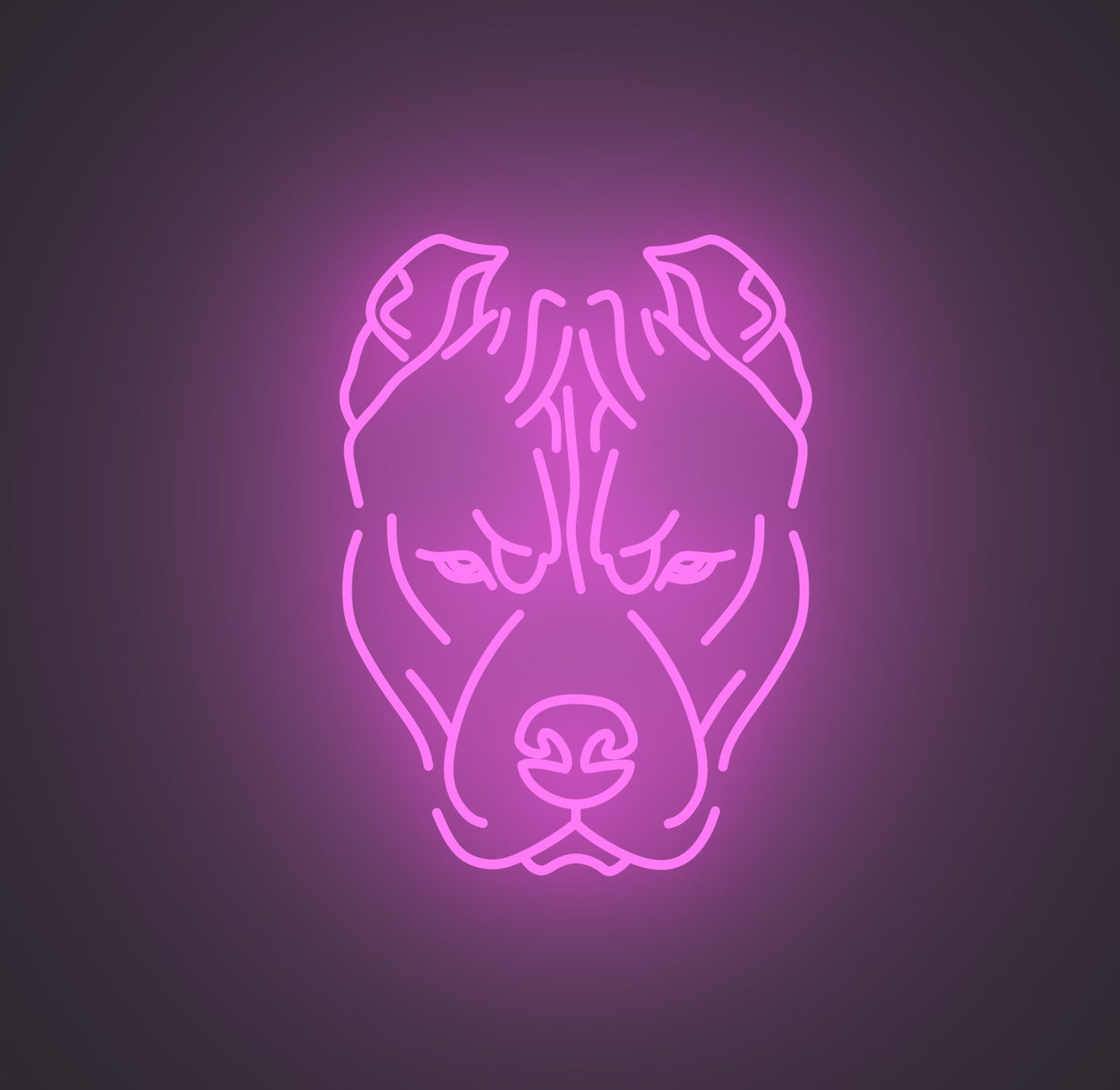 Pitbull Dog