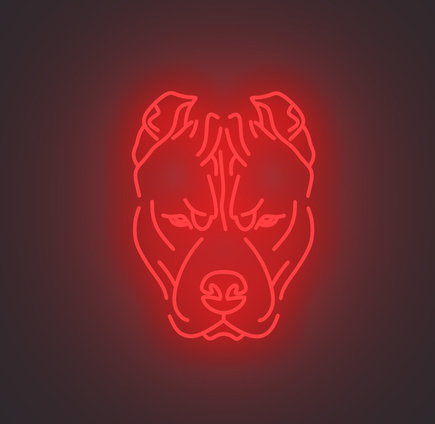 Pitbull Dog