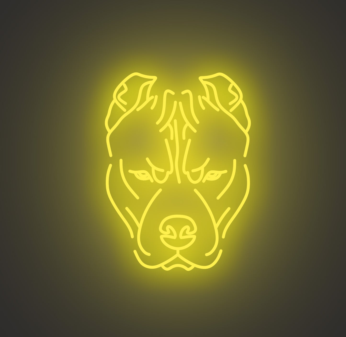 Pitbull Dog