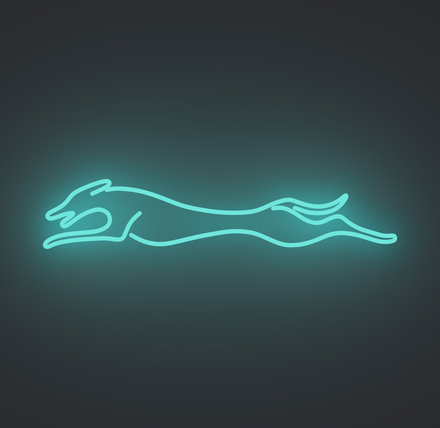 Greyhound Dog