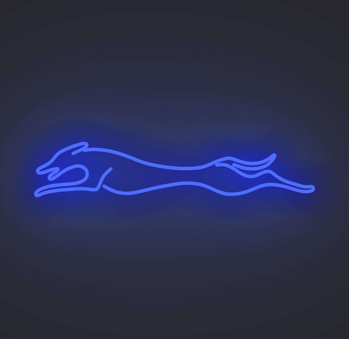 Greyhound Dog