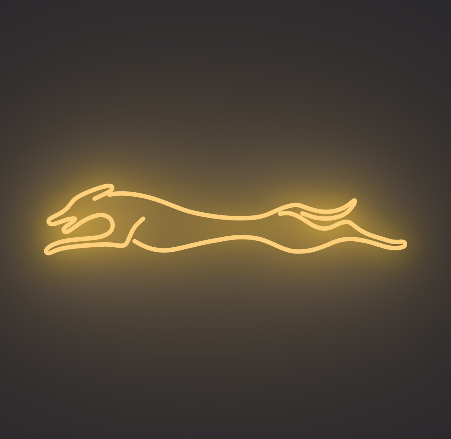 Greyhound Dog