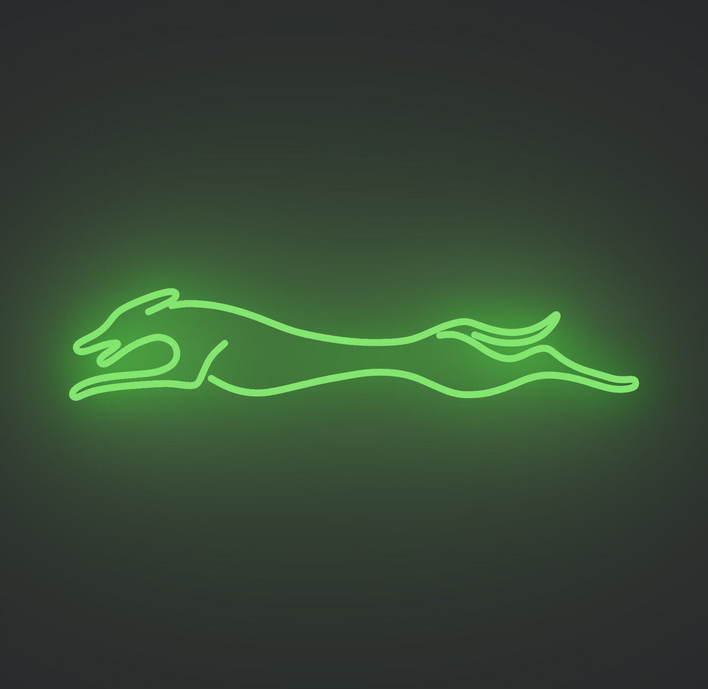 Greyhound Dog
