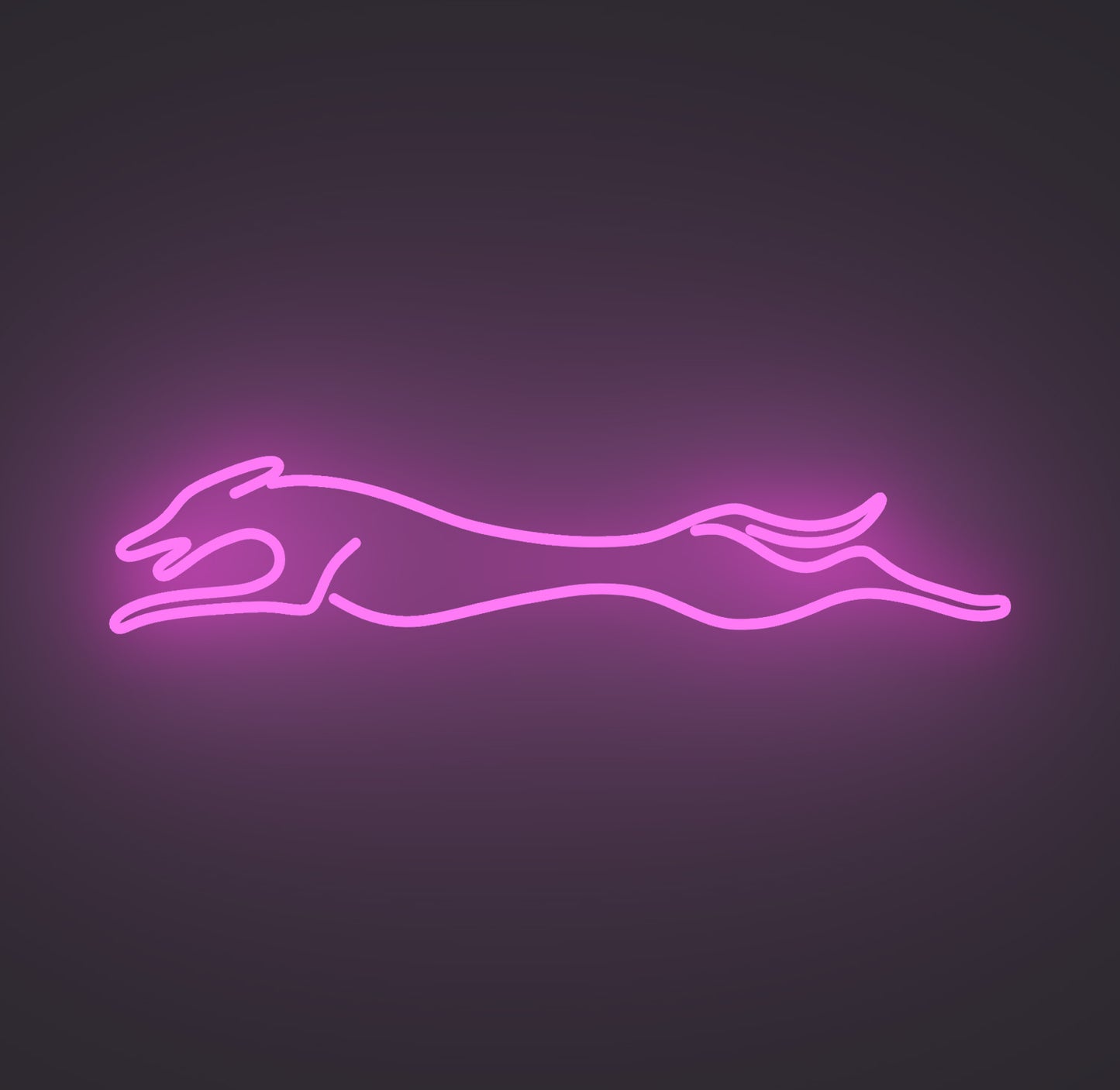 Greyhound Dog
