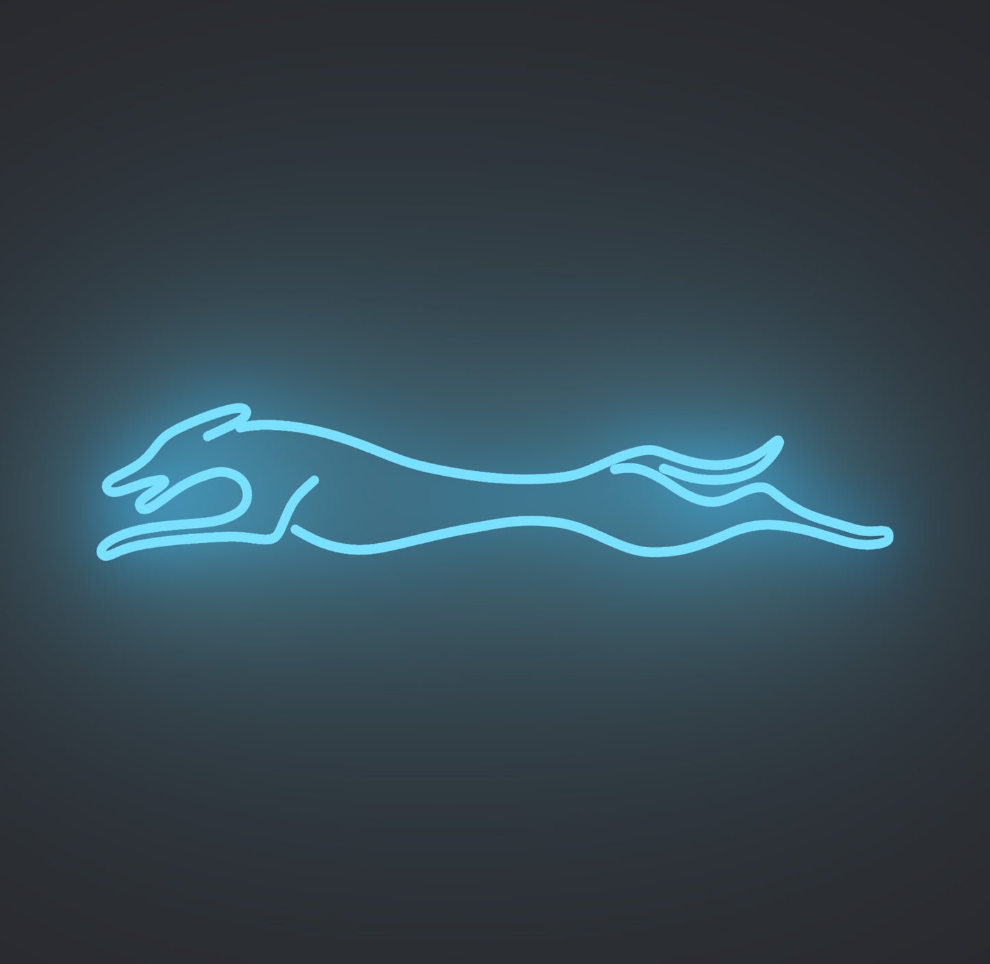 Greyhound Dog
