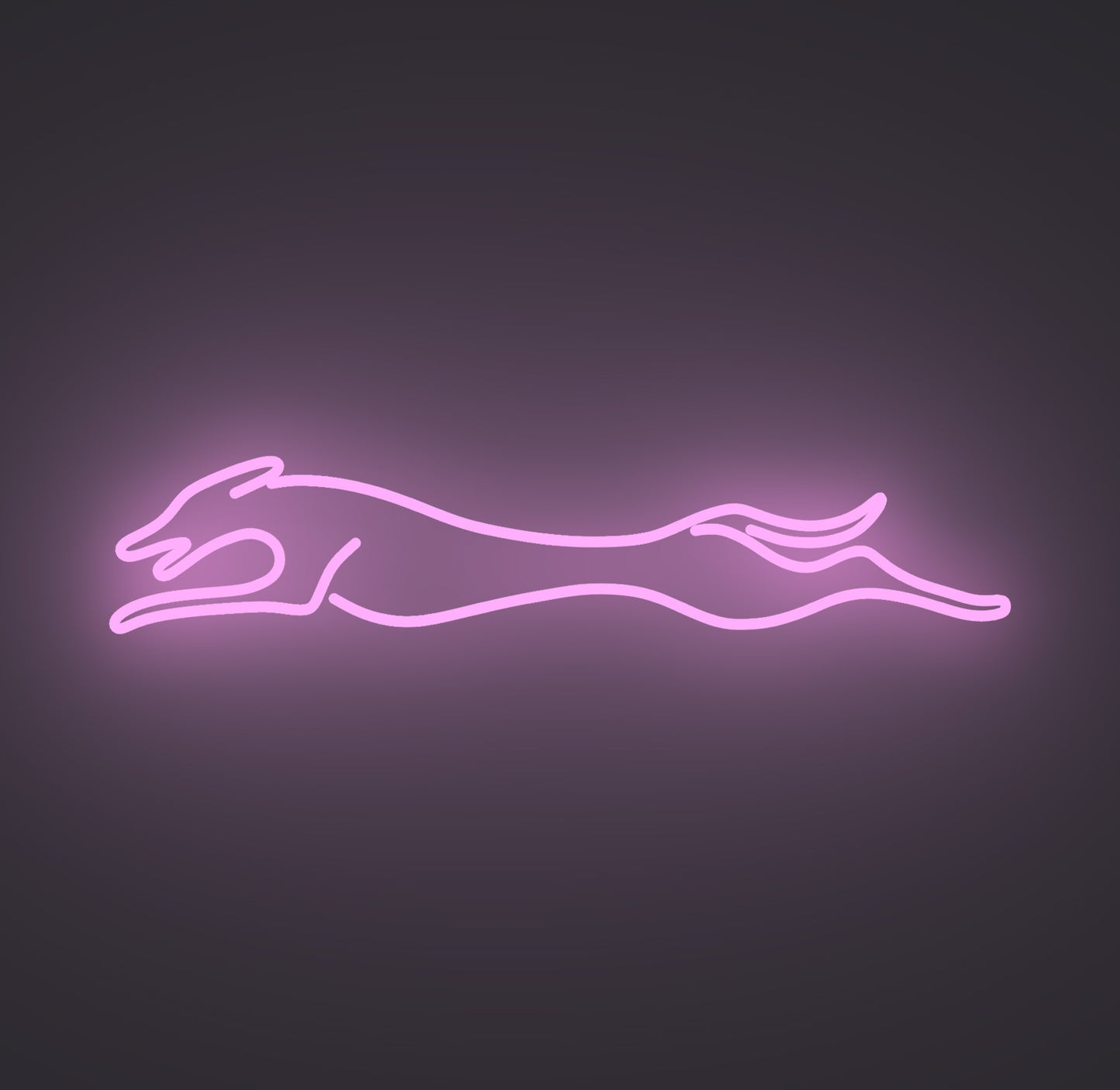 Greyhound Dog