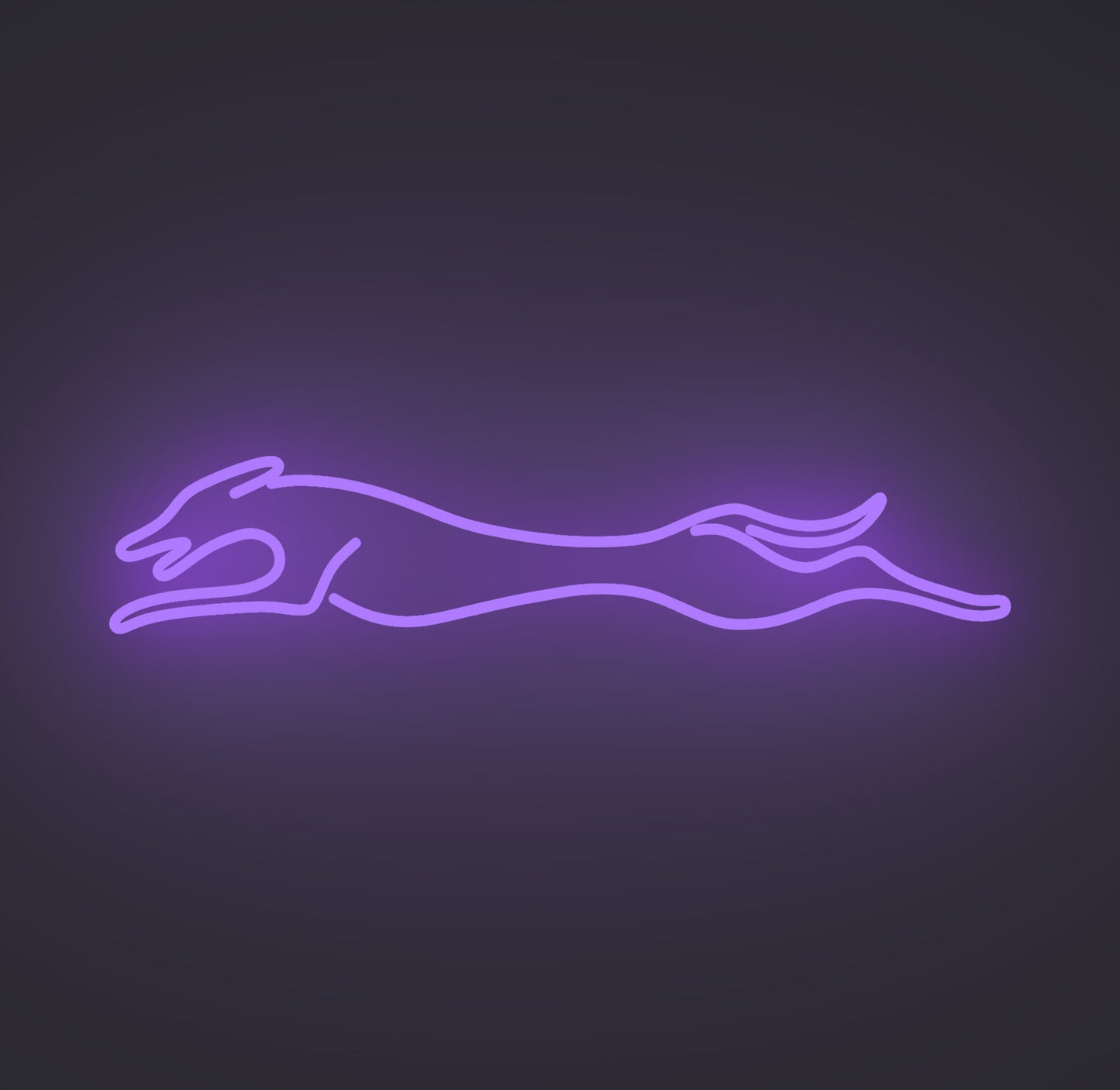 Greyhound Dog