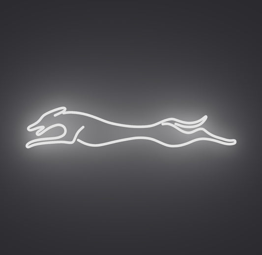 Greyhound Dog