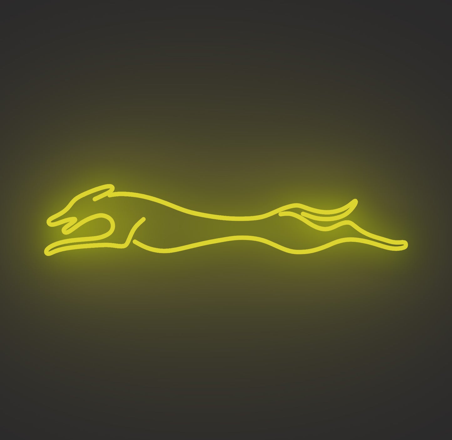 Greyhound Dog