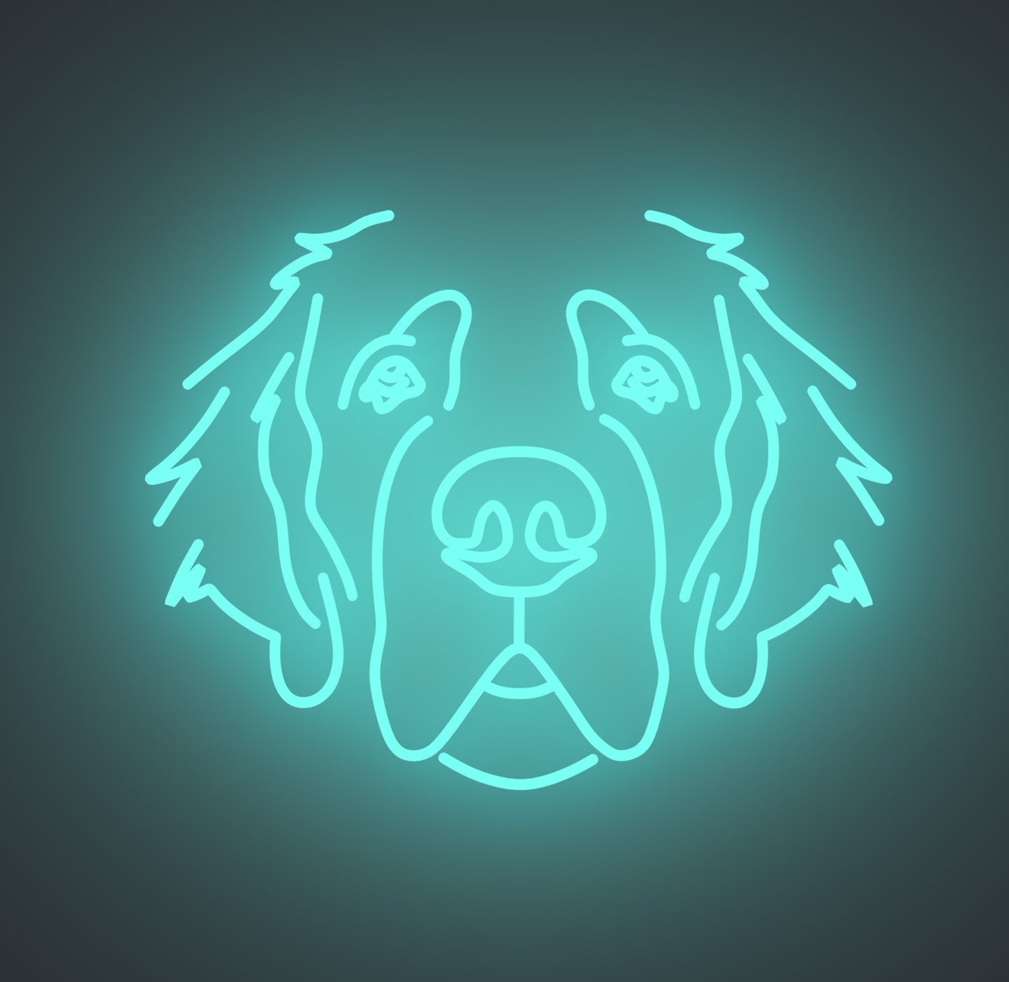 Saint Bernard Dog 01