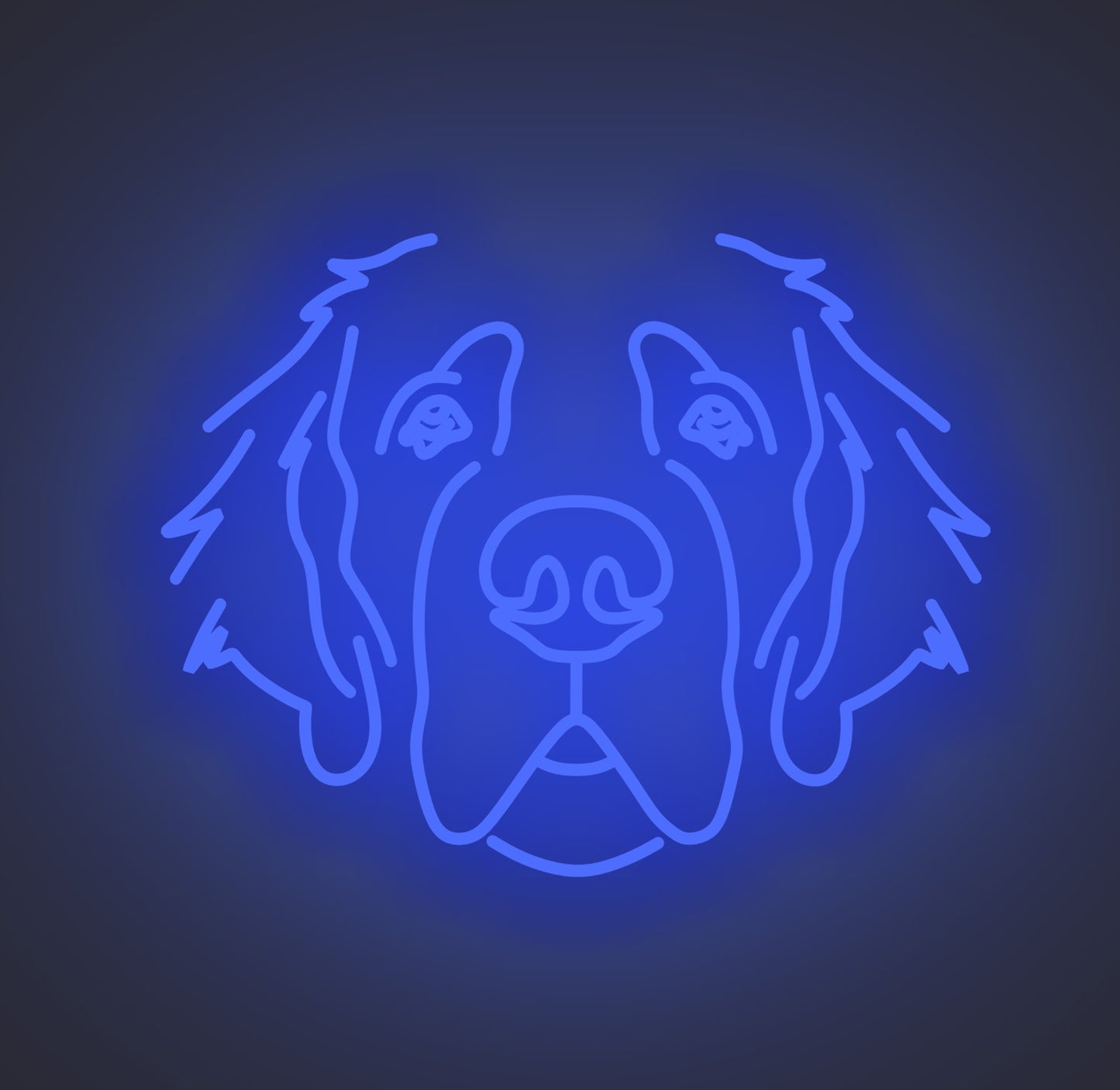 Saint Bernard Dog 01