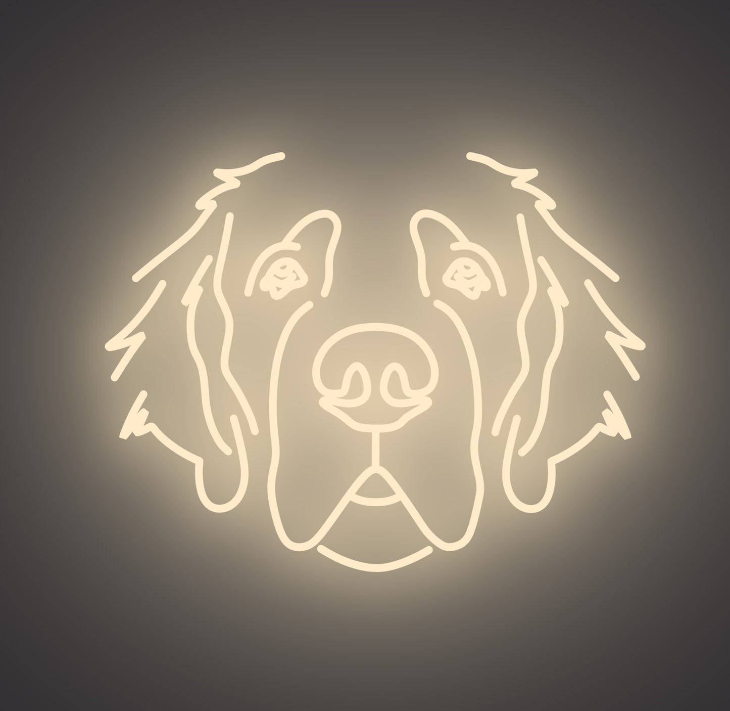 Saint Bernard Dog 01