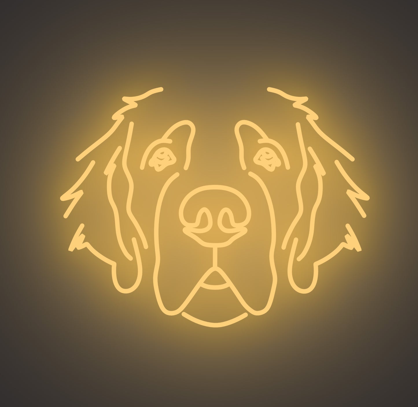 Saint Bernard Dog 01