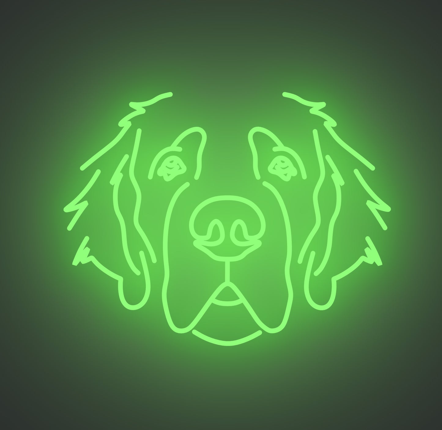 Saint Bernard Dog 01