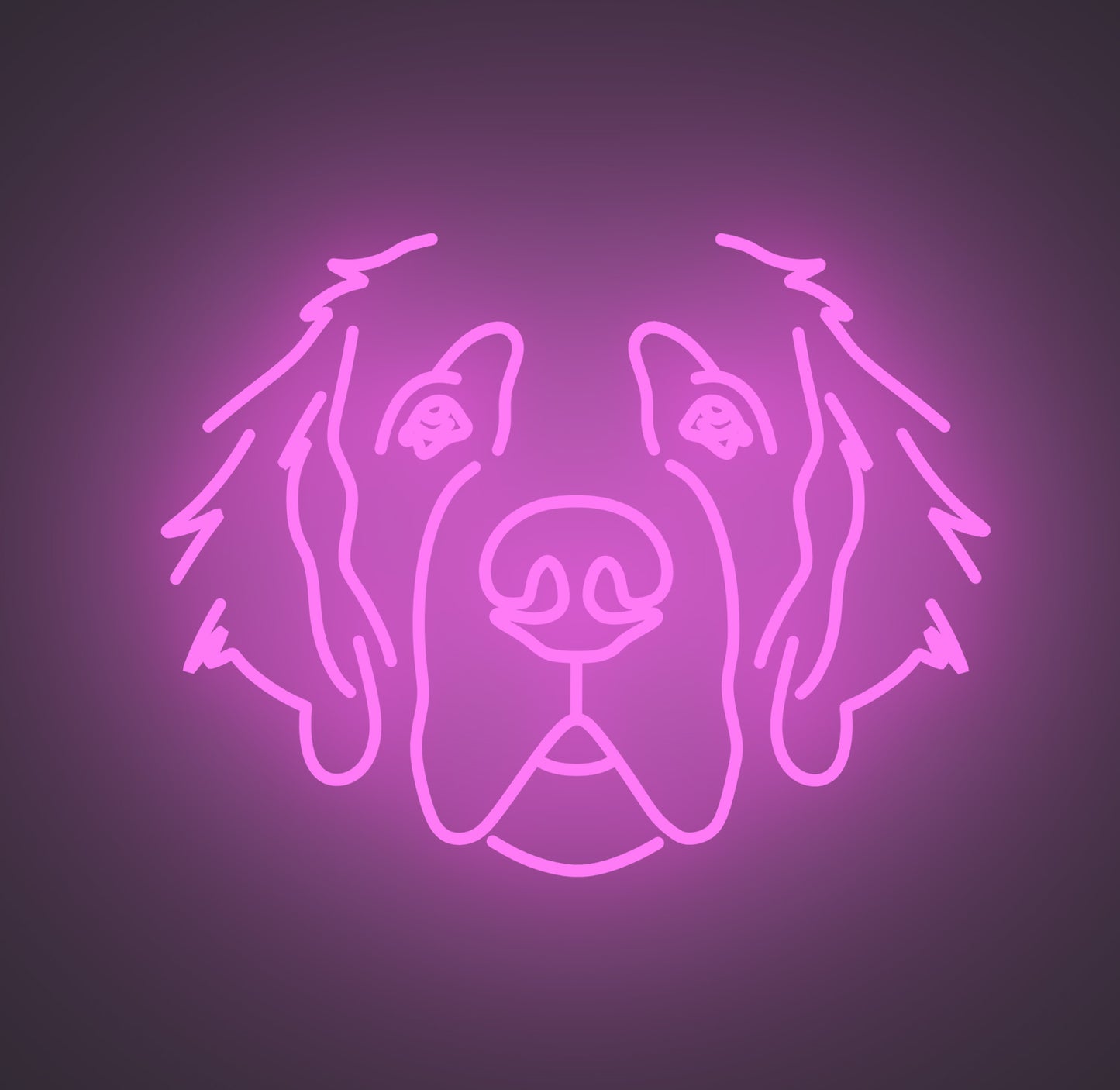 Saint Bernard Dog 01