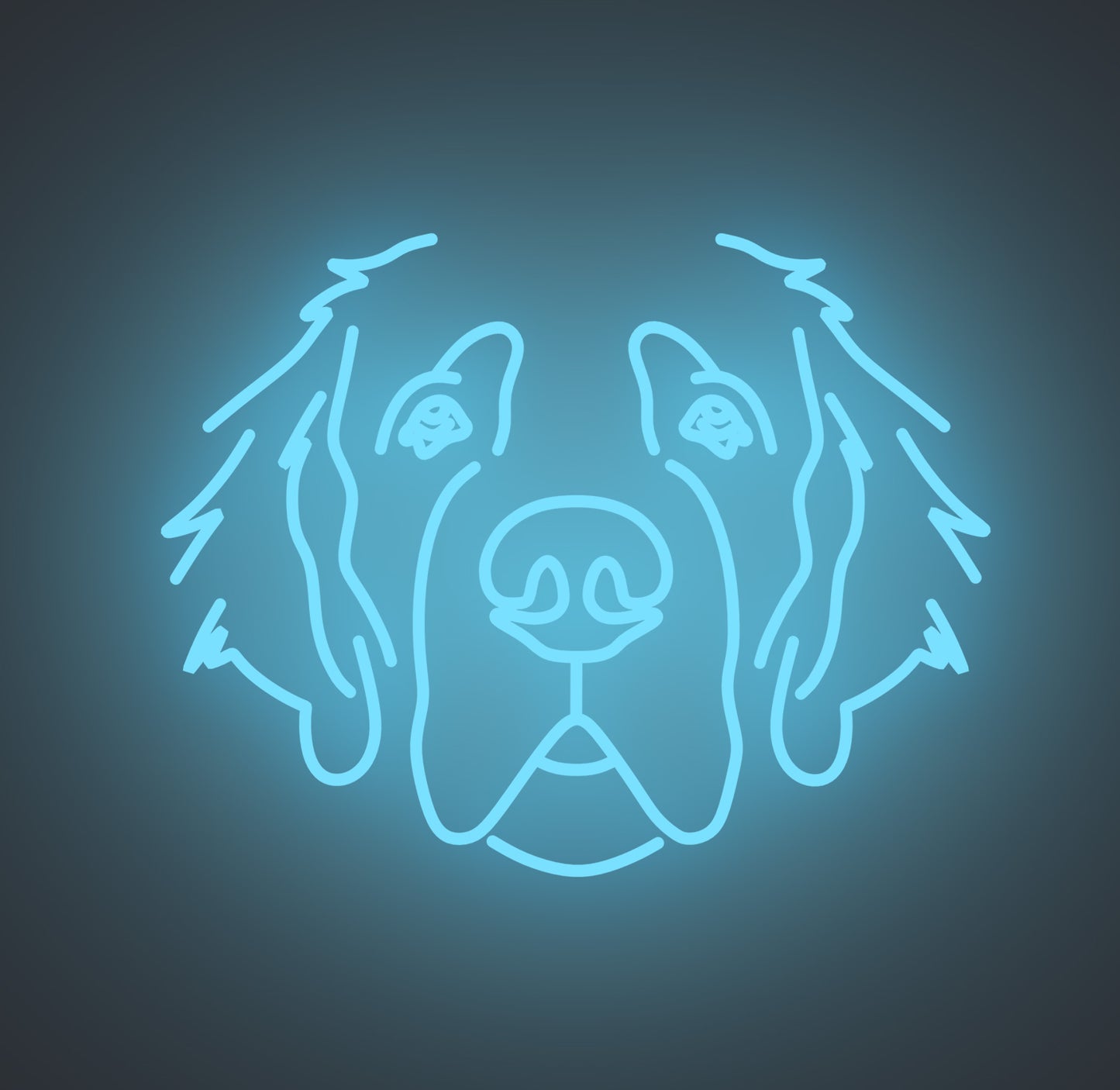 Saint Bernard Dog 01