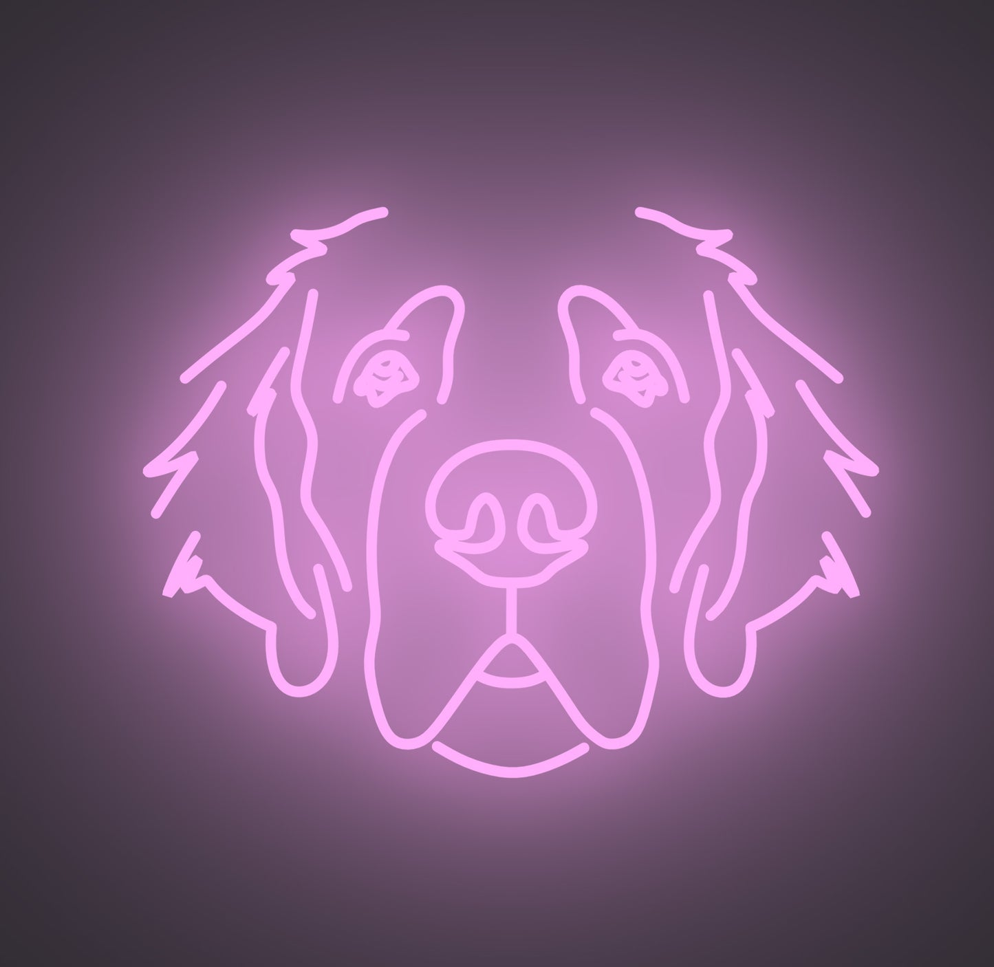 Saint Bernard Dog 01