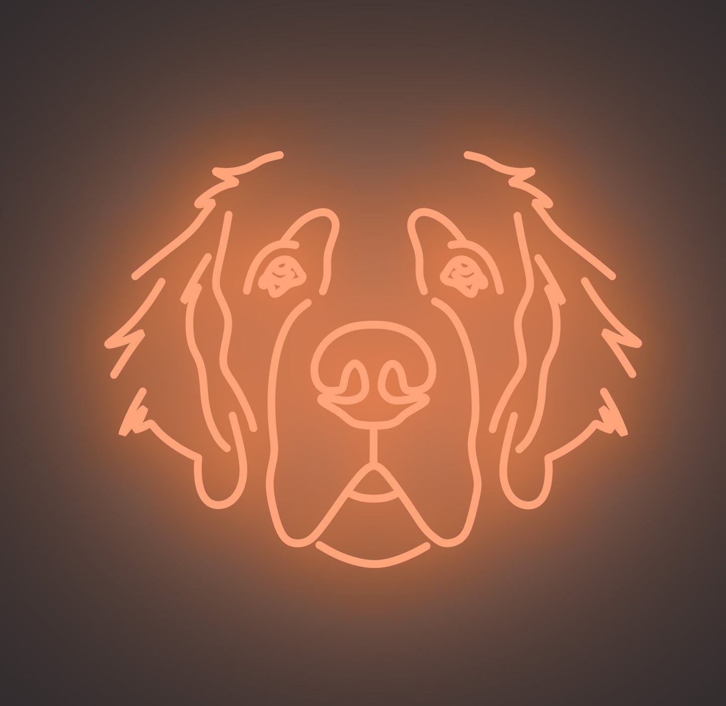Saint Bernard Dog 01