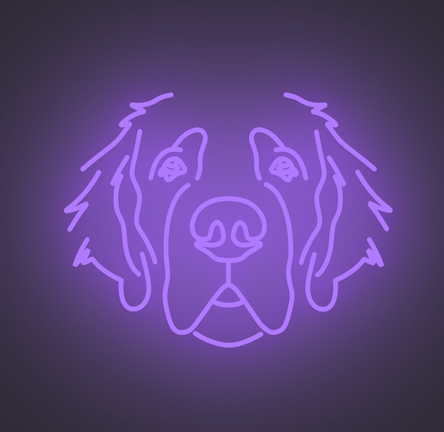 Saint Bernard Dog 01