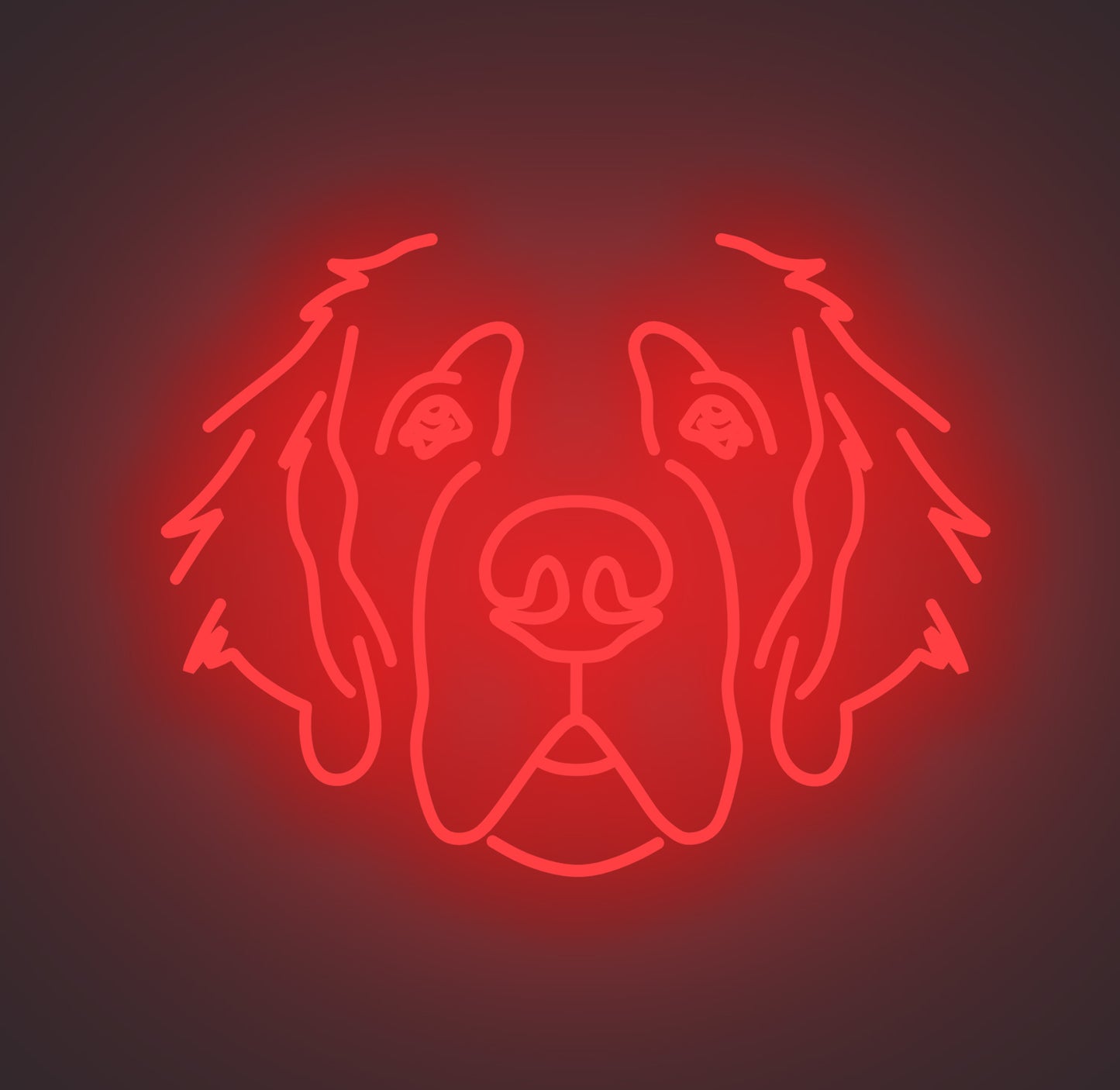 Saint Bernard Dog 01