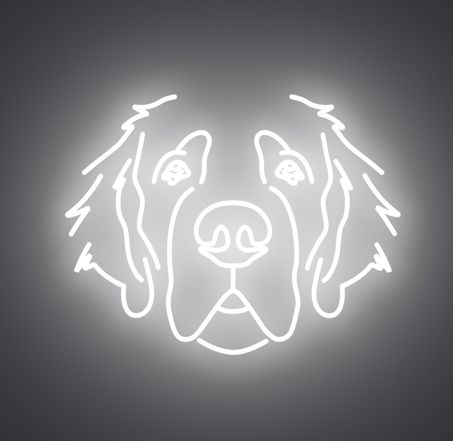 Saint Bernard Dog 01